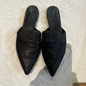 Everlane Black Pointed Toe Leather Mules